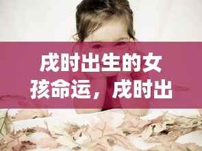 戌时出生的女孩命运,星辰魅力下的独特命运之旅