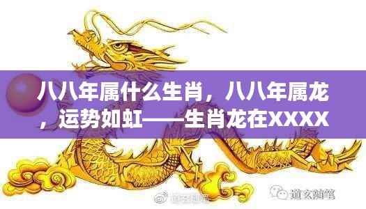 八八年属龙运势如虹,XXXX年生肖龙星座运势解析
