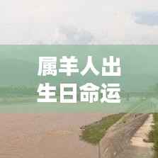 属羊人的命运轨迹，星辰照耀下的出生日命运轮廓