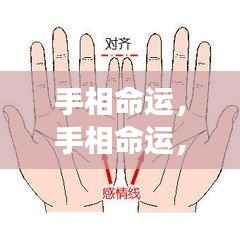 揭秘手相命运,手掌纹路中的生命密码探索