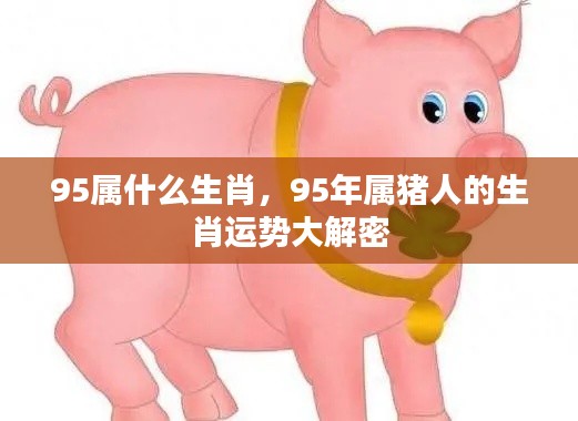 1995年属猪的生肖运势揭秘与个性特点分析