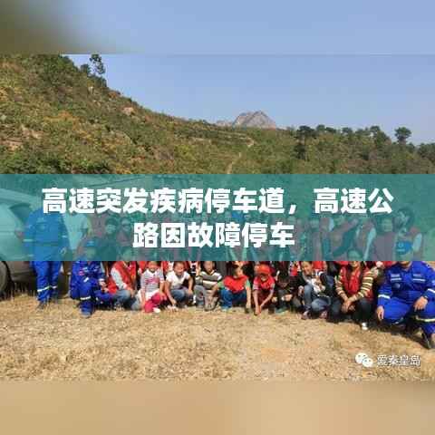 高速突发疾病停车道,高速公路因故障停车