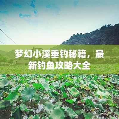 梦幻小溪垂钓秘籍,最新钓鱼攻略大全