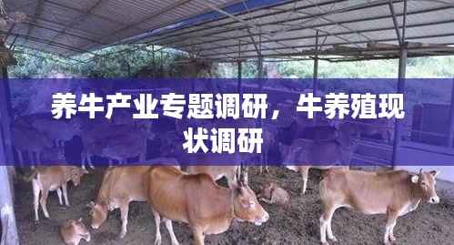 养牛产业专题调研,牛养殖现状调研