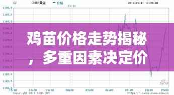 鸡苗价格走势揭秘,多重因素决定价格波动