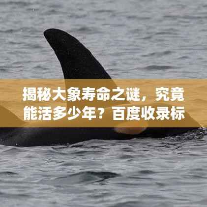 风驰电掣 第4页