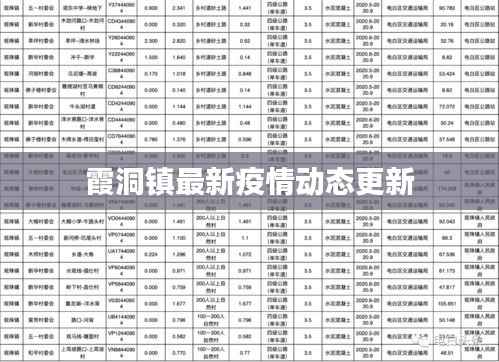 霞洞镇最新疫情动态更新