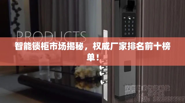 智能锁柜市场揭秘,权威厂家排名前十榜单!