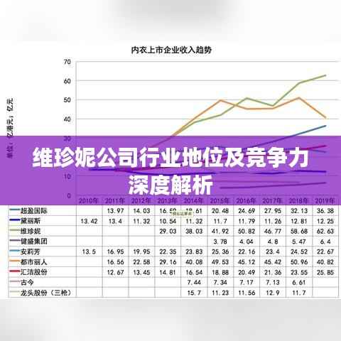 维珍妮公司行业地位及竞争力深度解析