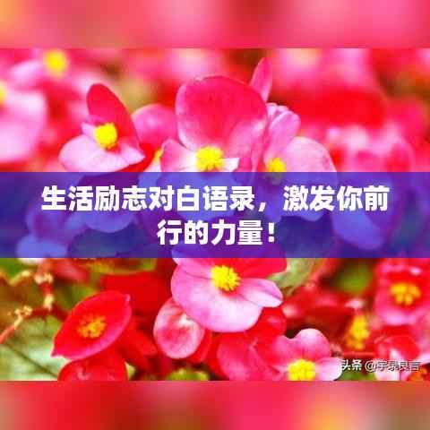 生活励志对白语录,激发你前行的力量!