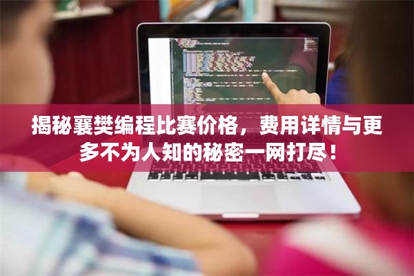 揭秘襄樊编程比赛价格,费用详情与更多不为人知的秘密一网打尽!