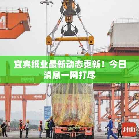 宜宾纸业最新动态更新!今日消息一网打尽