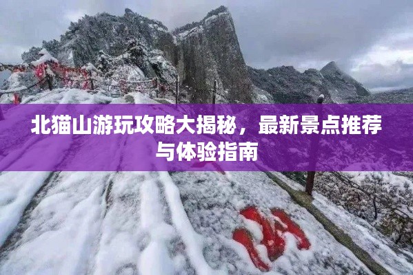 北猫山游玩攻略大揭秘,最新景点推荐与体验指南