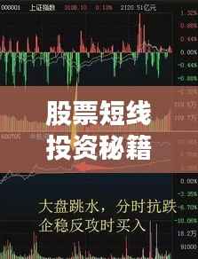 股票短线投资秘籍,聚焦代码000905深度探讨