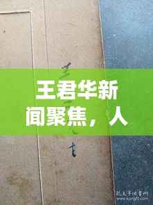 王君华新闻聚焦，人物动态与业界热议热议不断