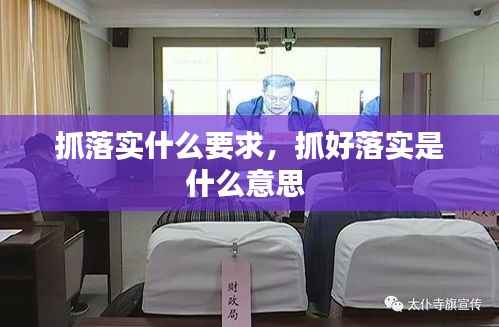 抓落实什么要求，抓好落实是什么意思 