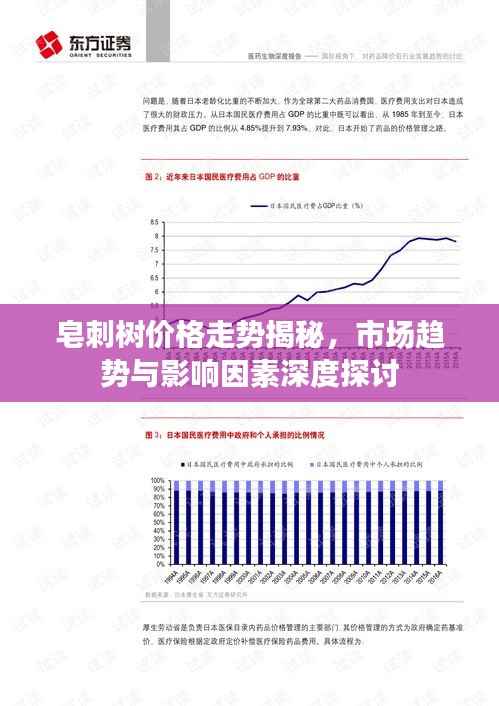 皂刺树价格走势揭秘,市场趋势与影响因素深度探讨