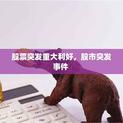股票突发重大利好，股市突发事件 
