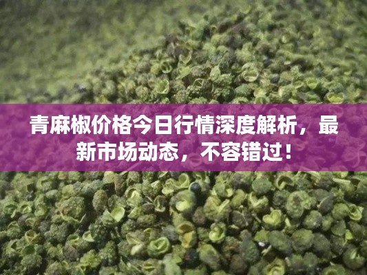 青麻椒价格今日行情深度解析,最新市场动态,不容错过!