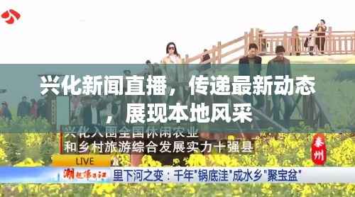 兴化新闻直播，传递最新动态，展现本地风采