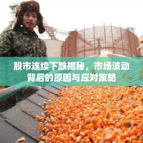股市连续下跌揭秘,市场波动背后的原因与应对策略