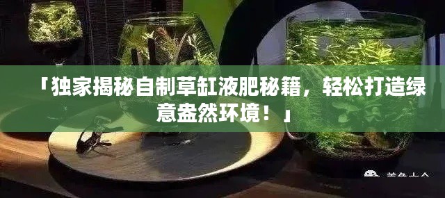 「独家揭秘自制草缸液肥秘籍,轻松打造绿意盎然环境!」